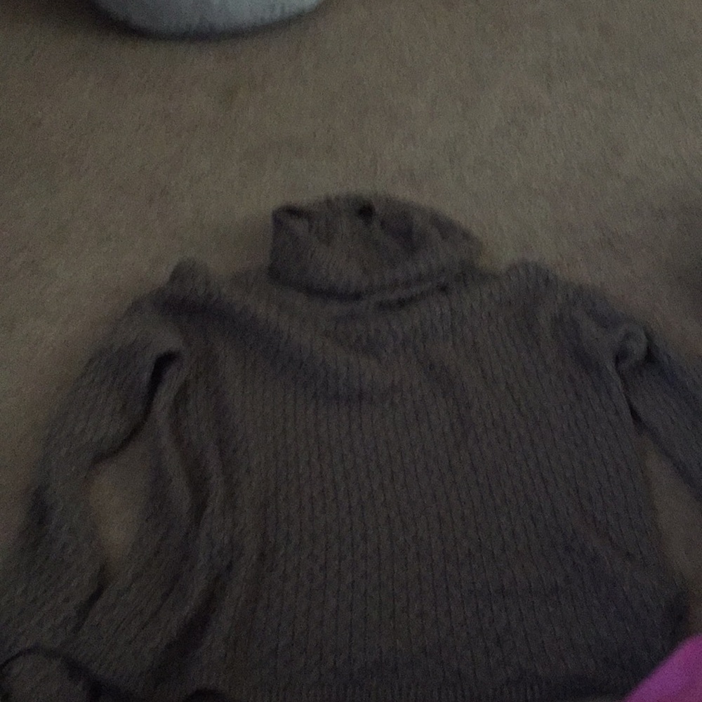 Sparkly Beige Knit Sweater Sonoma